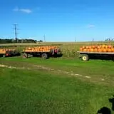 Hermanson Pumpkin Patch photo