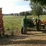Hermanson Pumpkin Patch photo