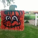 Hermanson Pumpkin Patch photo