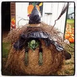Hermanson Pumpkin Patch photo