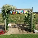 Hermanson Pumpkin Patch photo