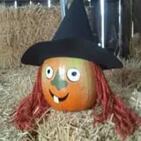 Hermanson Pumpkin Patch photo