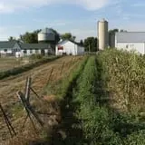Hermanson Pumpkin Patch photo