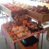 Hermanson Pumpkin Patch photo