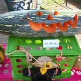 Hermanson Pumpkin Patch photo