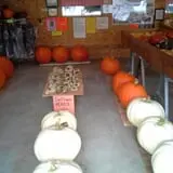 Hermanson Pumpkin Patch photo