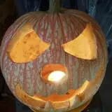Hermanson Pumpkin Patch photo