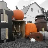 Hermanson Pumpkin Patch photo
