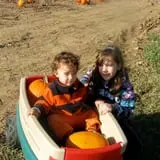 Hermanson Pumpkin Patch photo