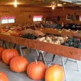 Hermanson Pumpkin Patch photo