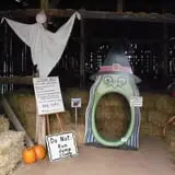 Hermanson Pumpkin Patch photo