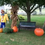Hermanson Pumpkin Patch photo