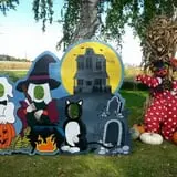 Hermanson Pumpkin Patch photo