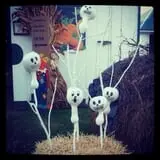 Hermanson Pumpkin Patch photo