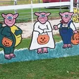 Hermanson Pumpkin Patch photo