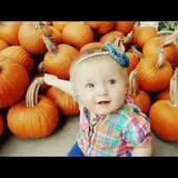 Hermanson Pumpkin Patch photo