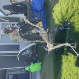 Vineyard Home Haunt photo