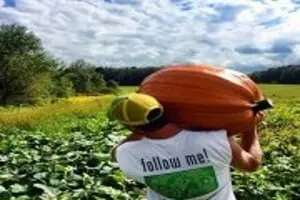 Coolspring Corn Maze & Trail of Fear
