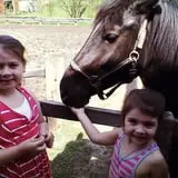 The Children's Farm at The Center photo
