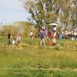 The Children's Farm at The Center photo