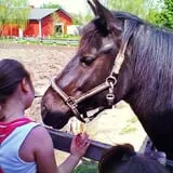 The Children's Farm at The Center photo