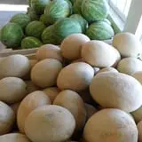 Cotton Hills Farm photo