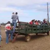 Cotton Hills Farm photo
