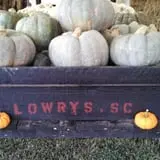 Cotton Hills Farm photo