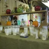 Menchhofer Farms photo