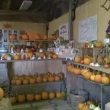 Menchhofer Farms photo