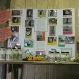 Menchhofer Farms photo