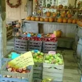 Menchhofer Farms photo