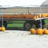 Menchhofer Farms photo