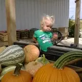 Menchhofer Farms photo