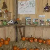 Menchhofer Farms photo
