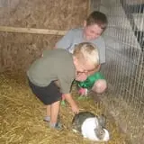 Menchhofer Farms photo