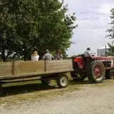 Menchhofer Farms photo