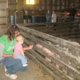 Menchhofer Farms photo