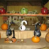 Menchhofer Farms photo