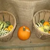 Menchhofer Farms photo