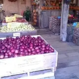 Menchhofer Farms photo