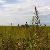 Menchhofer Farms photo