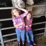 Menchhofer Farms photo