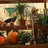 Andersen Farms photo