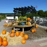 Andersen Farms photo