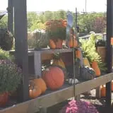 Andersen Farms photo
