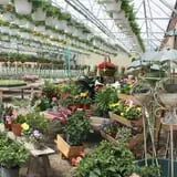 Andersen Farms photo