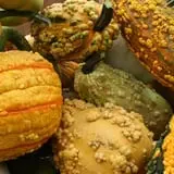 Andersen Farms photo