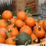 Andersen Farms photo