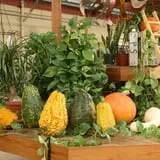 Andersen Farms photo